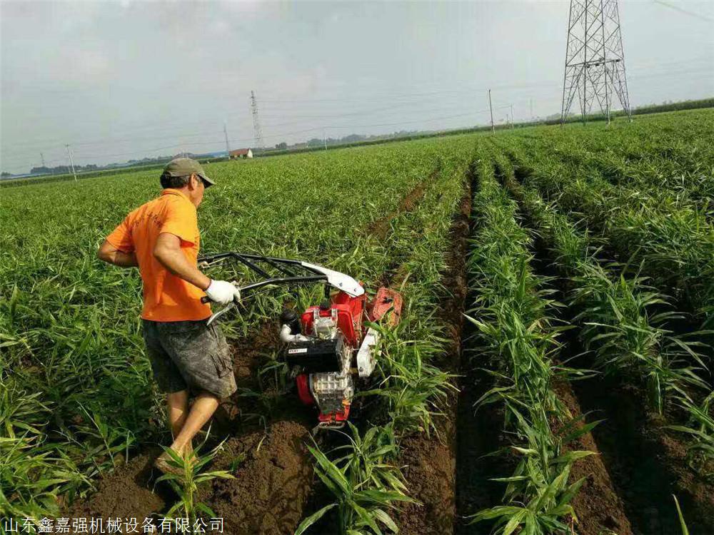  独轮茶园除草机 菜园松土机 柴油双履带微耕机价图片