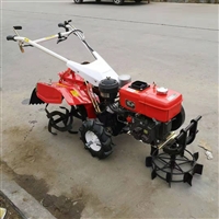  7.5马力小型旋耕机 170型汽油耕地机 田园管理机