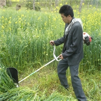 锯切背负式割草机 汽油四冲程收割机  果园割草机