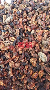 蚕甬的功效与作用   蚕甬的食用方法