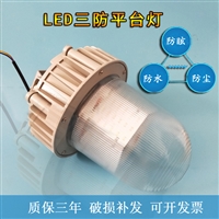 SW7100全方位防眩泛光工作灯 车间厂房三防平台灯50W80W