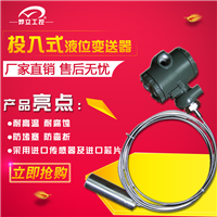 投入式液位计 双液位计 防腐型液位计