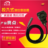 投入式水位传感器 液位显示计 辽宁液位计