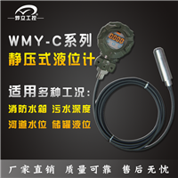 投入式液位计 投入式液位计规格 液位计说明