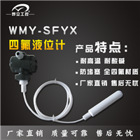 投入式液位变送器 液位计控制器 陕西外测液位计