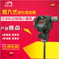 投入式液位计 盐酸液位计 外置式液位计