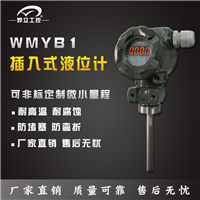 投入式液位变送器 缆式液位计 加油站液位计