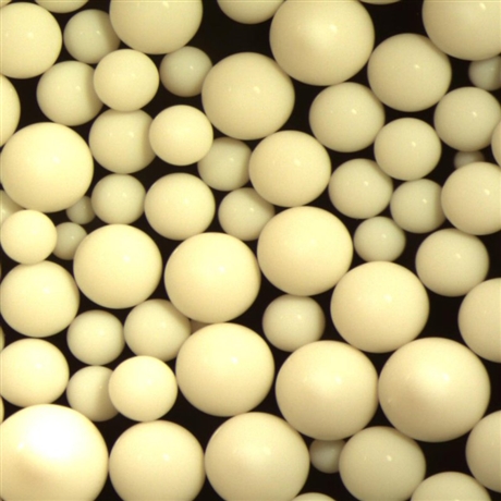 天津争光合成树脂有限公司