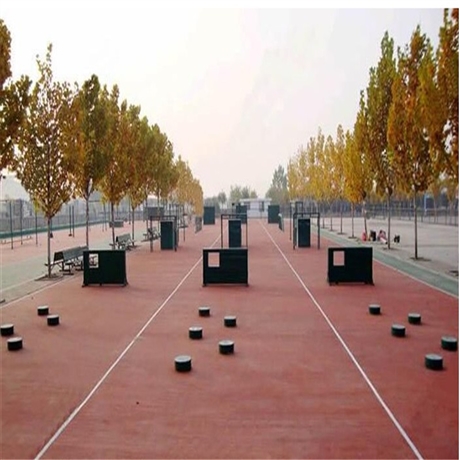 咸阳400米障碍器材标准四百米生产厂家