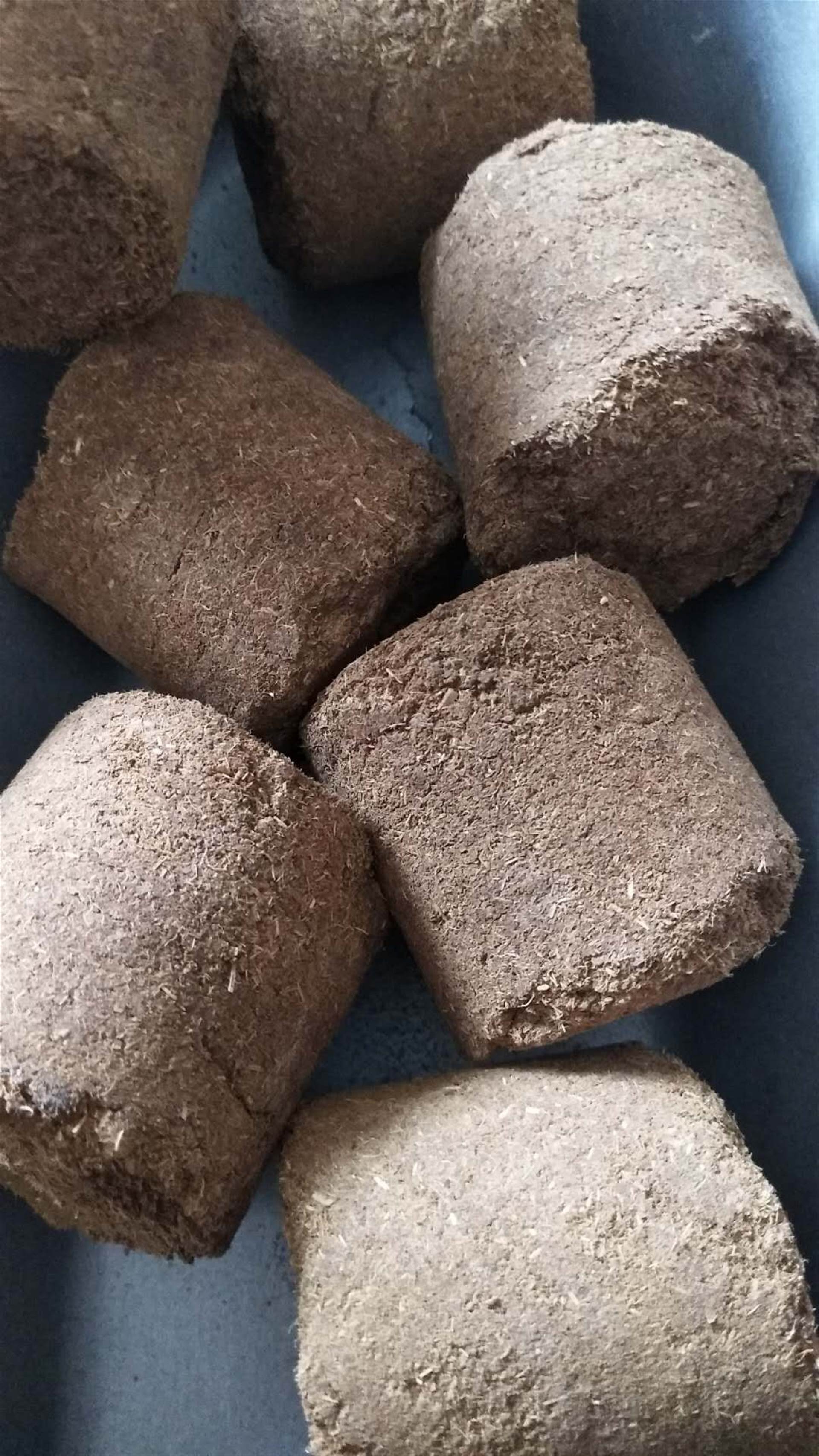 衣 凤尾草 乌贼骨 乌梢 乌蔹莓 六和曲 六月雪 文旦皮 文冠木丹皮炭