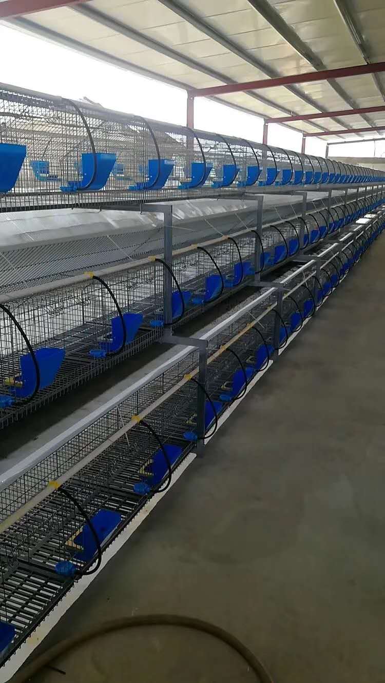 种兔笼具 九位子母兔笼 商品兔笼 兔笼子价格 养殖笼 兔笼批发