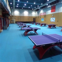 塑胶地板 PVC地板 乒乓球运动地板