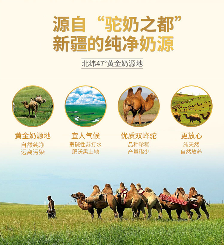 驼奶的功效与作用中老年成人驼奶粉新疆骆驼奶厂家供应
