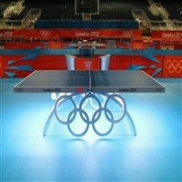 PVC塑胶地板厂家 乒乓球运动地胶品牌