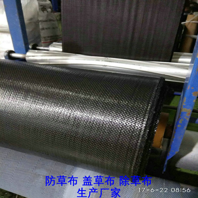 广东防草布批发,广东PE防草布价格,100克白色PE地布,黑色120克