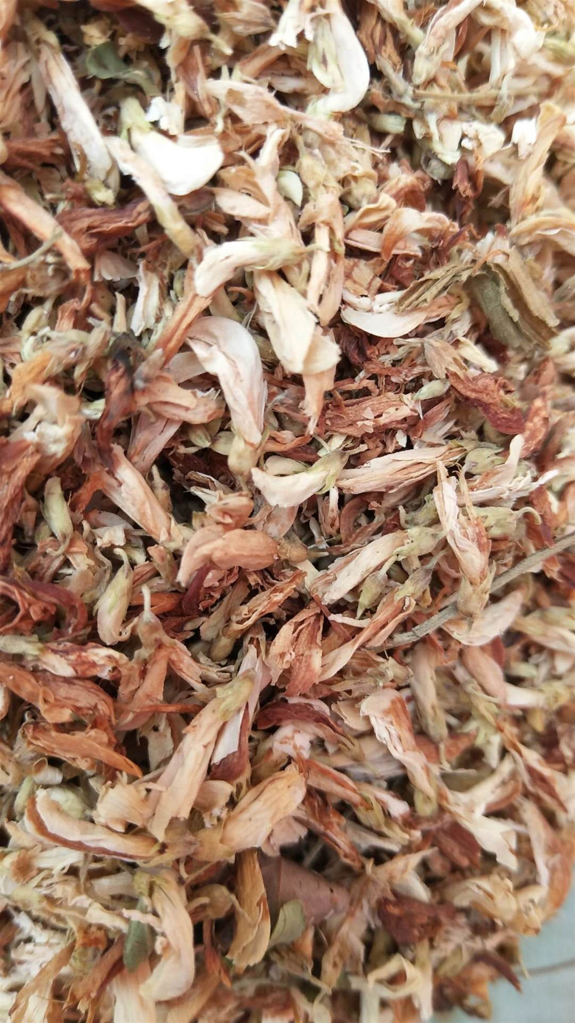 中药材批发金雀花   金雀花的价格