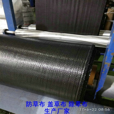 广东防草布批发,广东PE防草布价格,100克白色PE地布,黑色120克