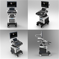 宠物b超机 宠物彩超机报价 小动物b超机厂商 动物b超机设备