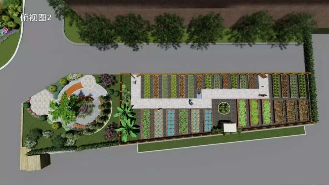 来岭南养生谷康复花园,体验荷兰阿姆斯特丹康养服务