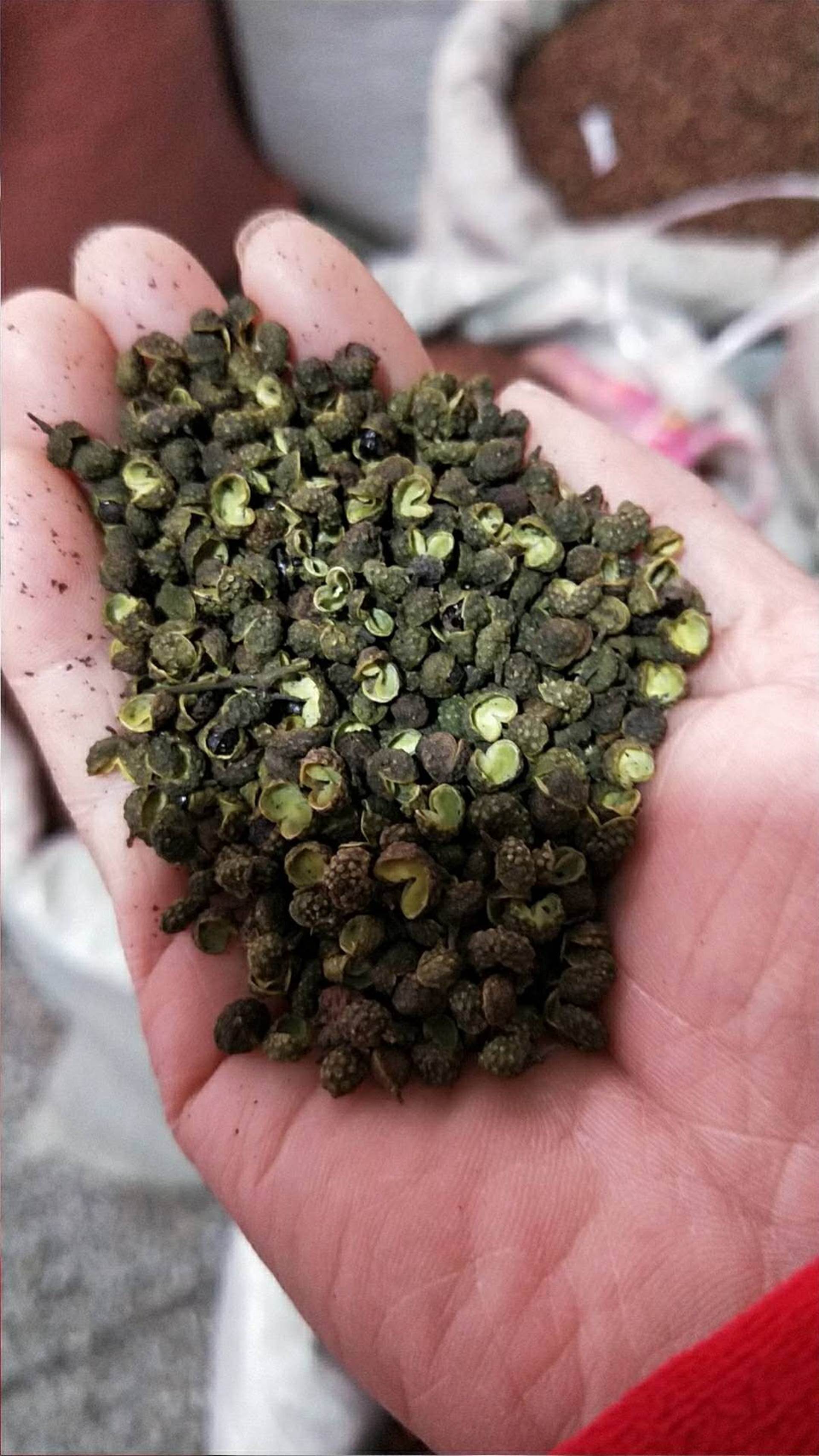 中药材批发青花椒.麻椒.