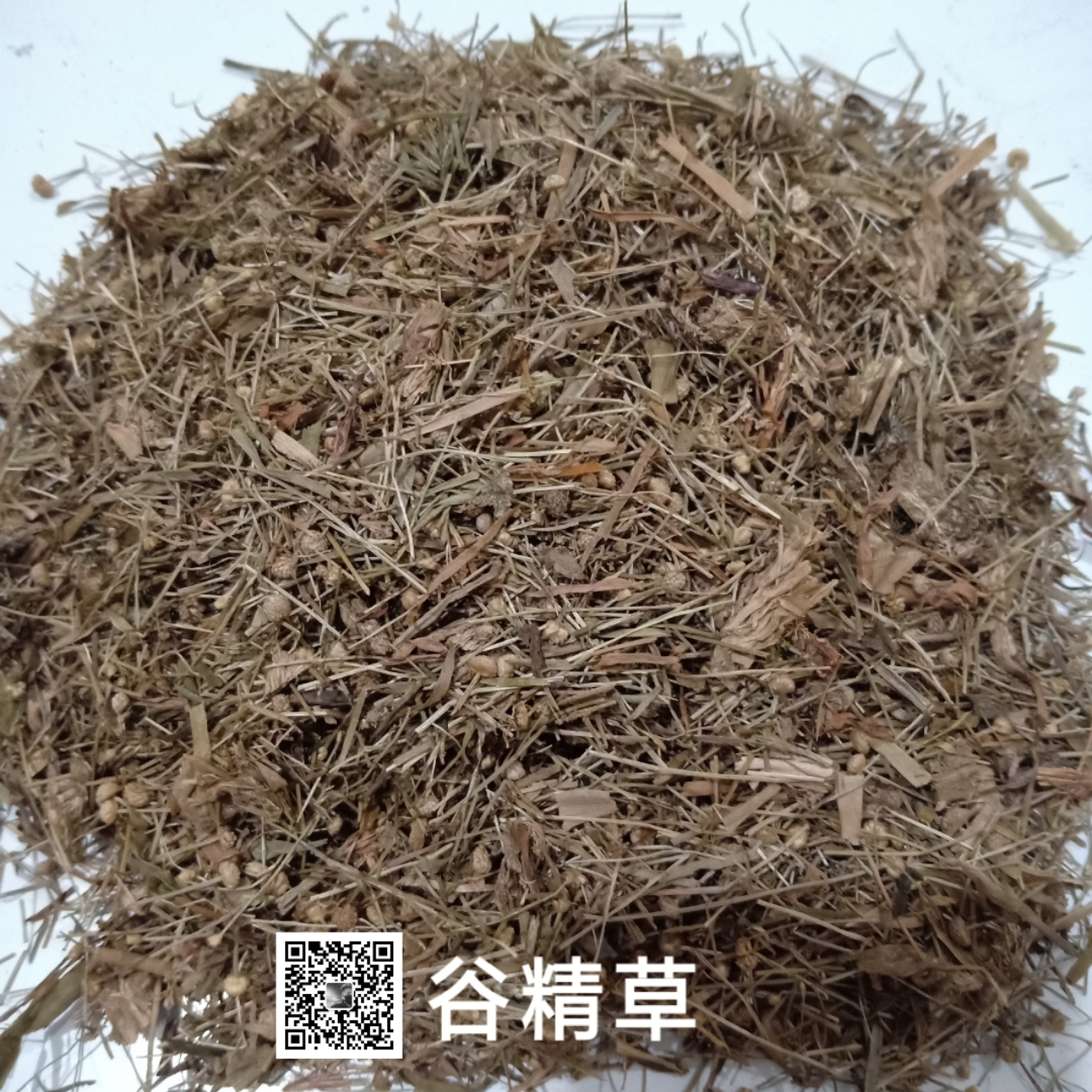 中药材谷精草/谷精草多少钱斤