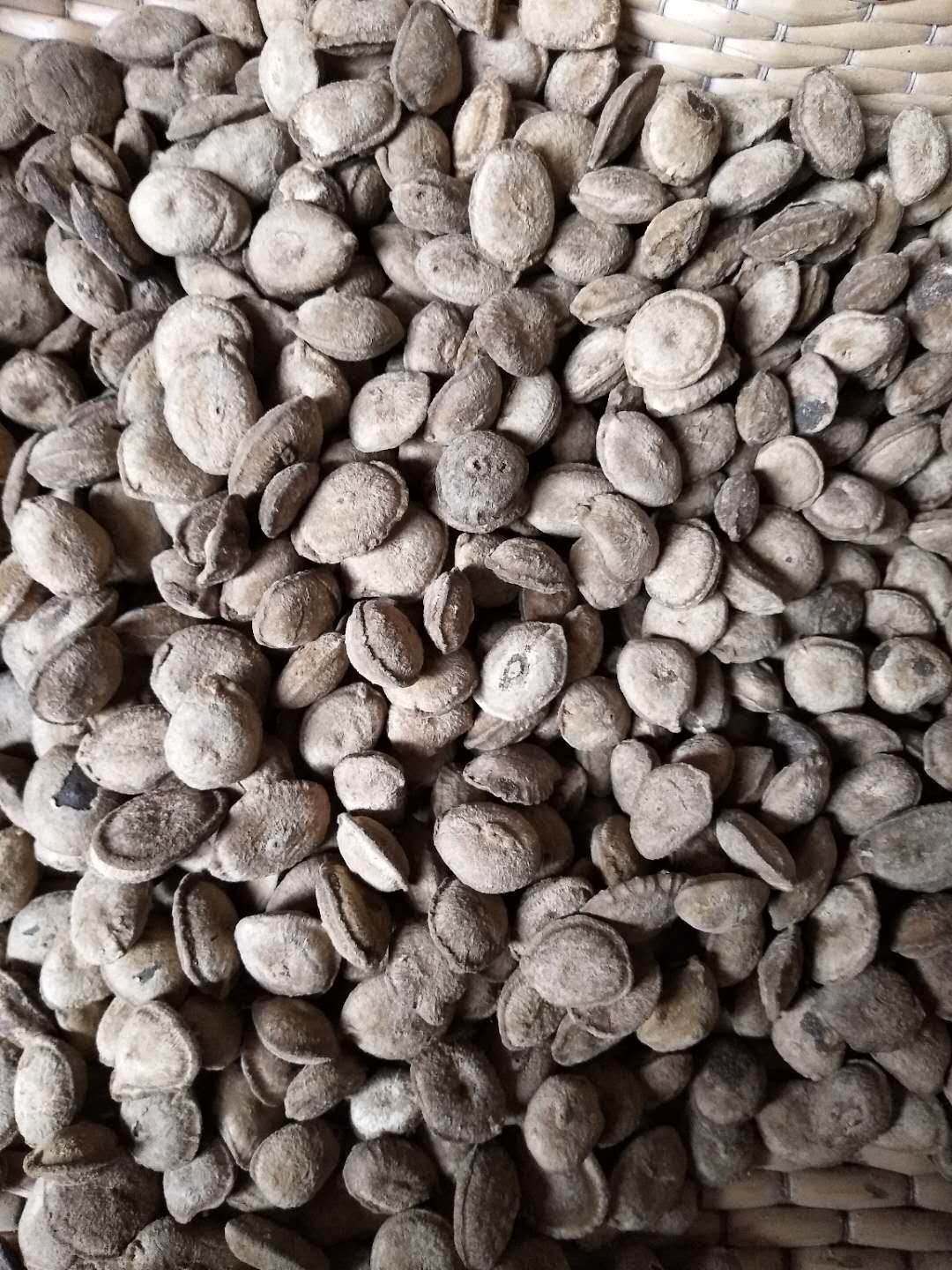 国产马钱子批发零售   马钱子带打粉