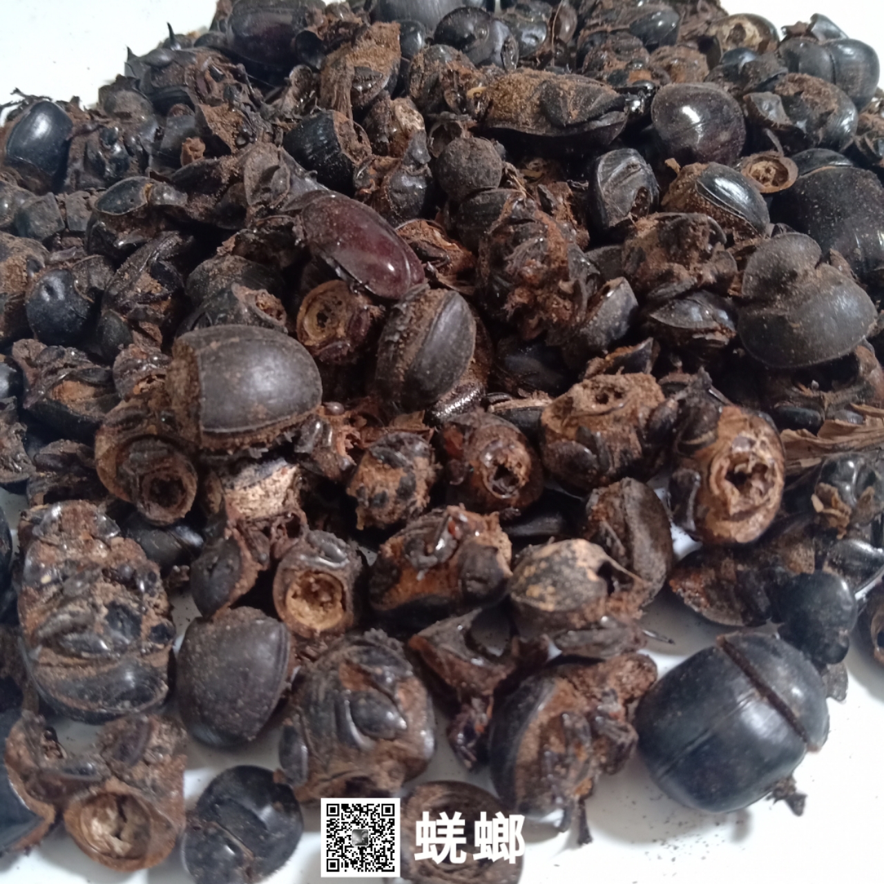 中药材蜣螂蜣螂价格