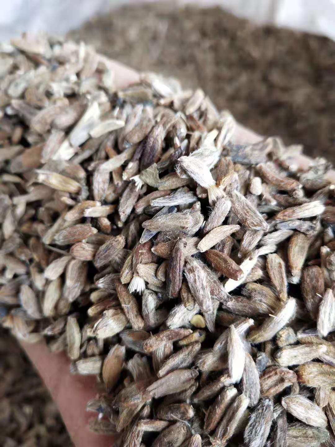 改良白术种子的亩用量及亩收入