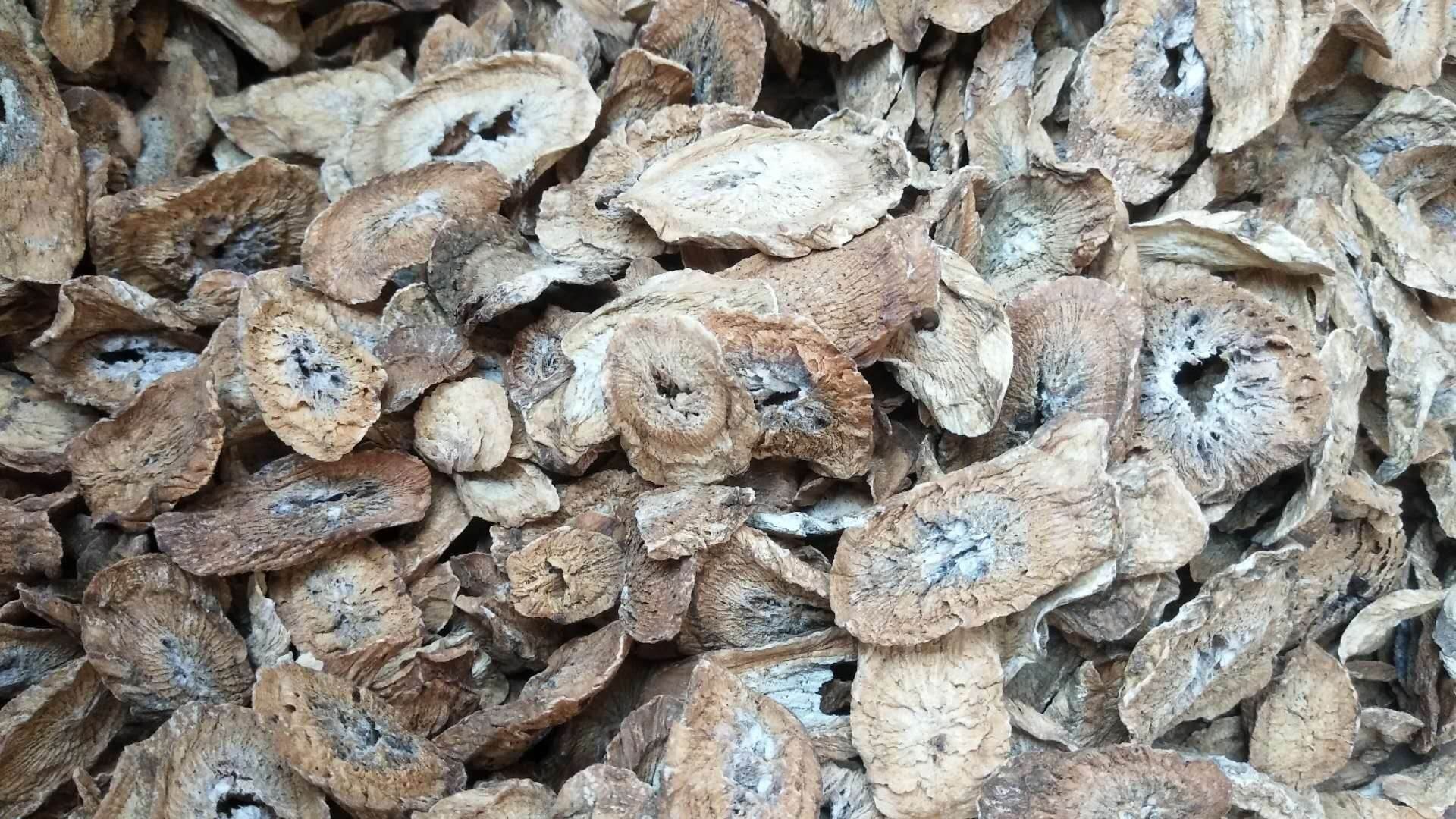 蜀羊泉今日报价 蜀羊泉的功效