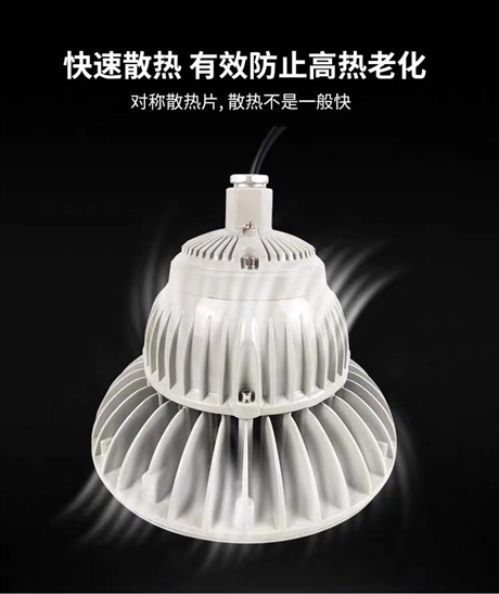 华荣BAD85-M隔爆型LED防爆灯 HRD92加油站喷砂房棚顶灯防爆泛光灯