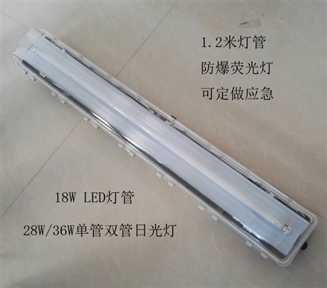 BAY51防爆防腐全塑荧光灯2*18W T8双管防爆日光灯 防爆净化灯