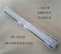 BAY51防爆防腐全塑荧光灯2*18W T8双管防爆日光灯 防爆净化灯