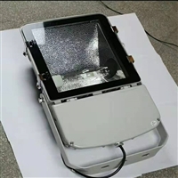 NTC9230高效中功率投光灯 体育厂工厂投射灯 泛光灯 厂家直销