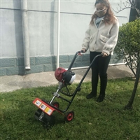  鑫嘉强机械 139汽油割灌机 四冲程背负式割草机图片