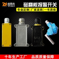 插入式液位计QK-7415-2管体304材质耐压10.0mpa防爆型