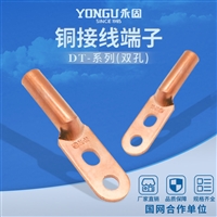 永固金具双孔铜鼻子DT-150S镀锡铜接线端子
