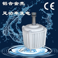 重庆忠县同步发电机安全可靠  500w永磁发电机