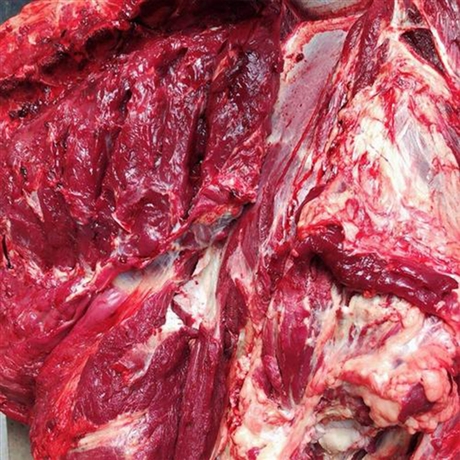 貨源充足 新鮮冷凍驢肉菜品涼拌 豐源食品