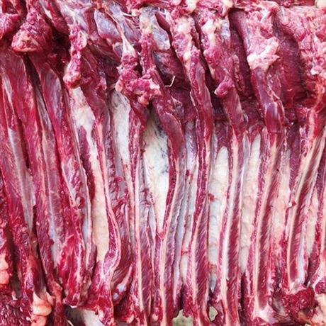 貨源充足 天山驢肉肉質(zhì)成絲 豐源食品