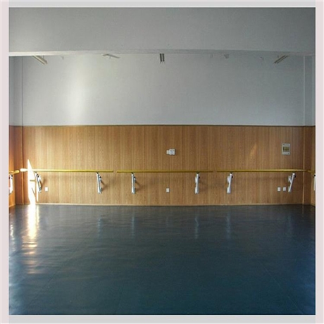 石家庄移动式舞蹈把杆不锈钢舞蹈把杆压腿扶手源头厂家