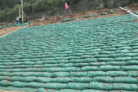 山东生态袋厂家电话