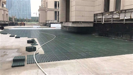 廣東蓄排水板價格