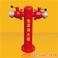 东岳泡沫消火栓 双出口泡沫喷射设备 泡沫灭火装置生产厂家