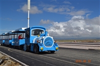 景区观光车，20v3系列，风景名胜旅游观光车