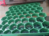 市政通用植草格加工厂家