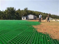 40植草格加工厂家