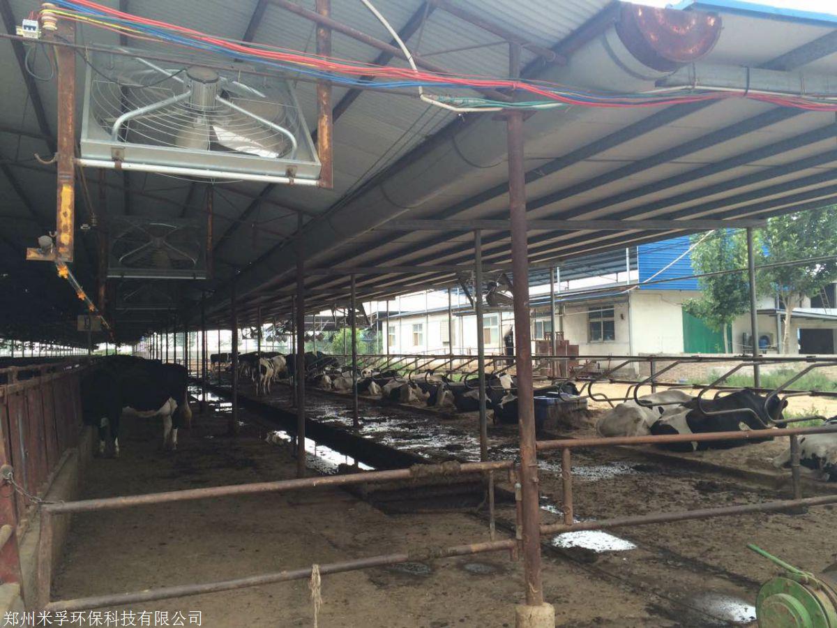 养牛场牛舍喷雾降温消毒除臭雾线设备优质正品