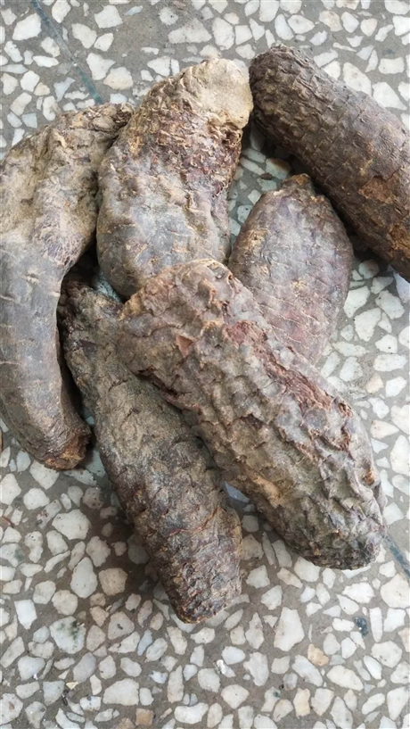 龙涎香一克价格