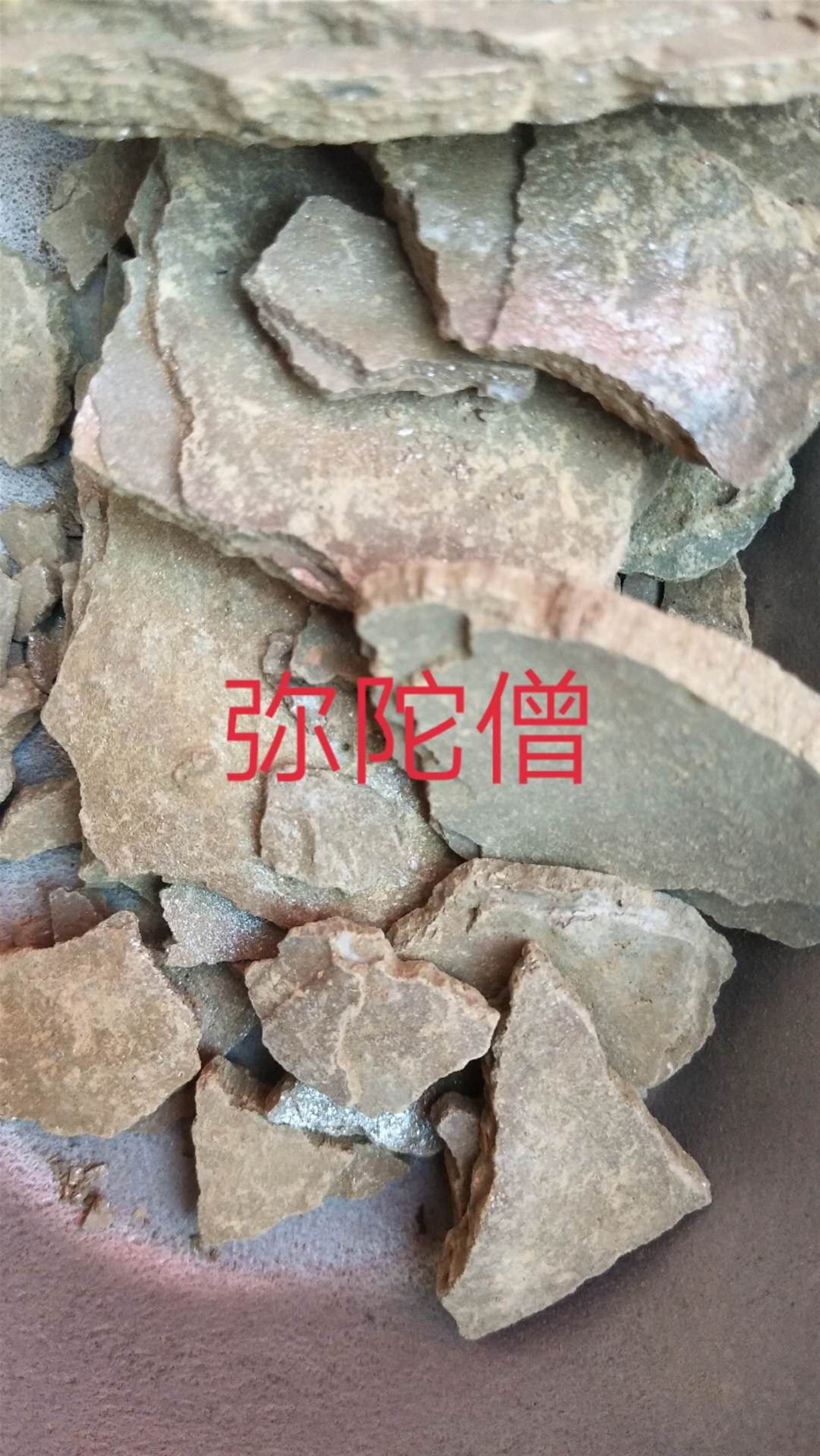 石上柏的性味归经图片