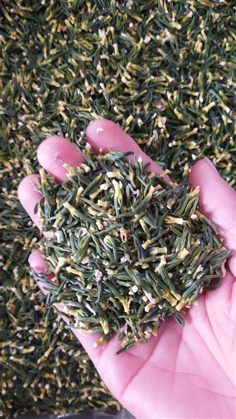 中药材轻粉批发    轻粉一盒的价格